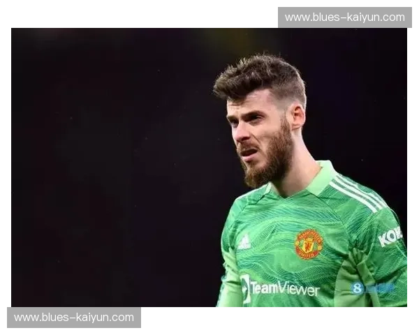 英超俱乐部提交冬窗交易文件，官方审核程序启动